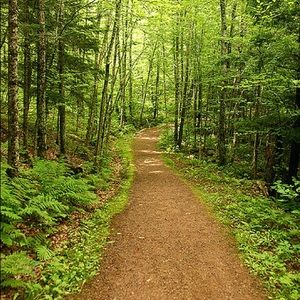 Meet your Posher, Brandy